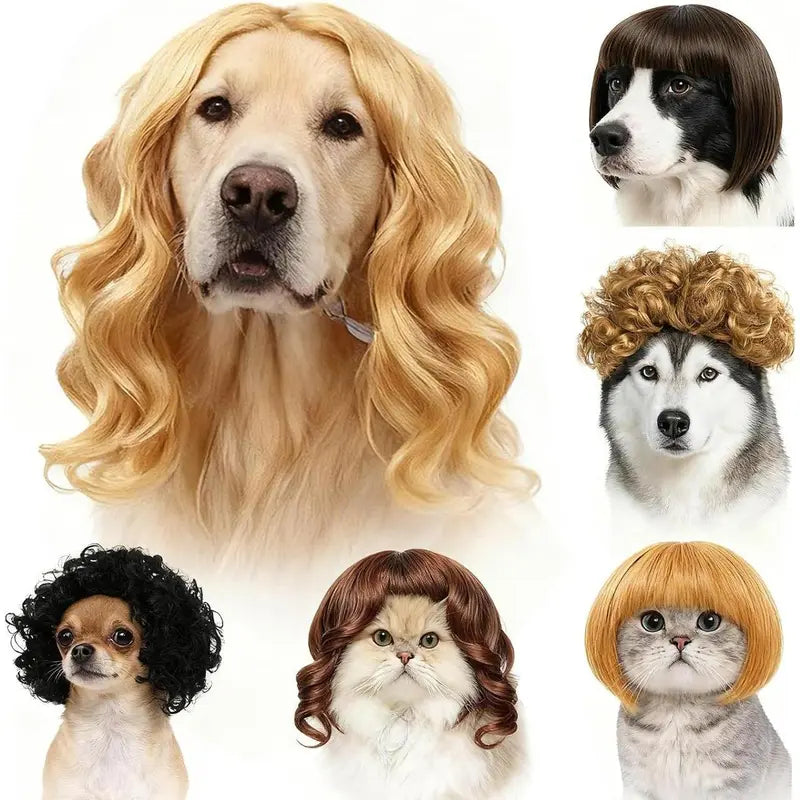 6-Pack Adjustable Pet Wigs for Cats and Dogs – Soft Cosplay Costumes for Halloween, Christmas, Parties, and Photo Shoots