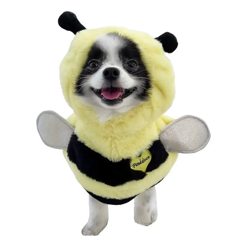 Pandaloon Bumblebee Halloween Costume for Small to Medium Dogs and Cats - Fun Front-Facing Design