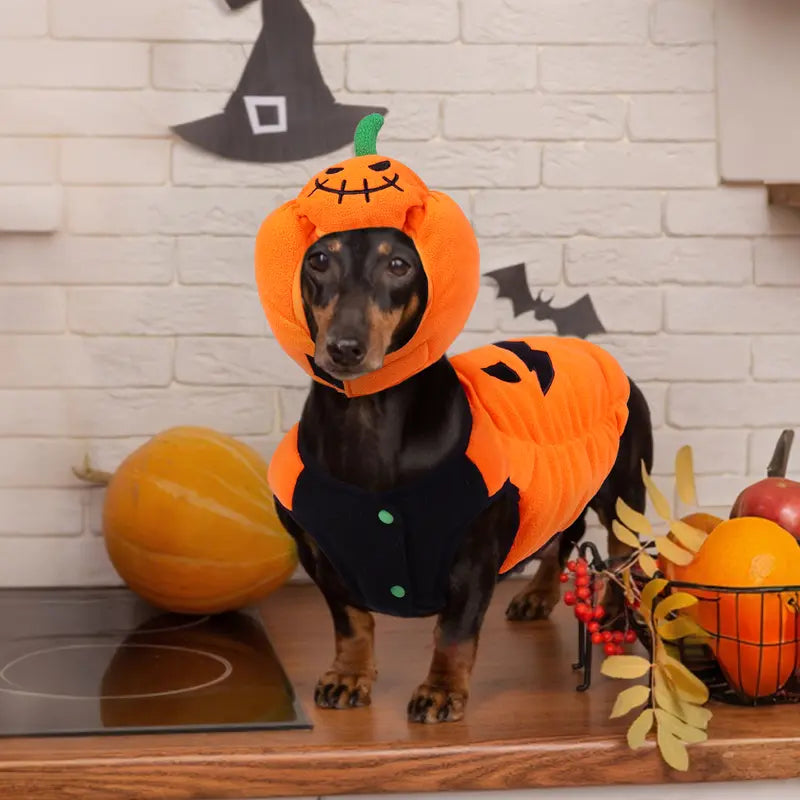 FUAMEY Halloween Dog Costume | Small-Breed Pumpkin Hat | Adjustable Fit for Thermal Warmth, Ideal for Pet Festival Celebrations