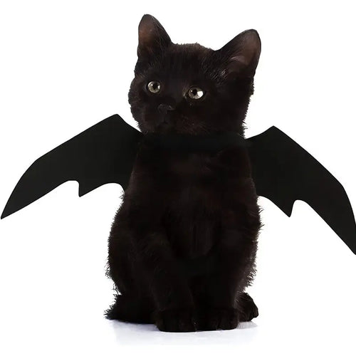 Pet Soft Black Halloween Cat Bat Wings Costume - Available in Small, Medium, and Large for Cat Halloween Celebrations and Parties