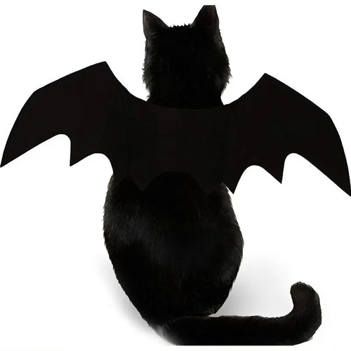 Pet Soft Black Halloween Cat Bat Wings Costume - Available in Small, Medium, and Large for Cat Halloween Celebrations and Parties
