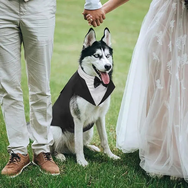 Kuoser Formal Tuxedo Set for Medium-Large Dogs - 2-Piece with Bandana, Bow Tie, Hook-and-Loop Closure, and Decorative Buttons, Ideal for Weddings and All Seasons (2XL, Golden Retriever, Samoyed, Bulldog)