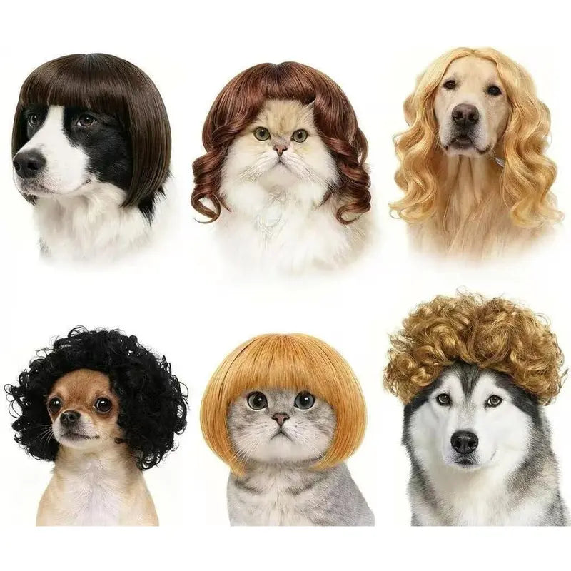 6-Pack Adjustable Pet Wigs for Cats and Dogs – Soft Cosplay Costumes for Halloween, Christmas, Parties, and Photo Shoots
