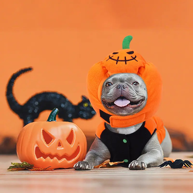 FUAMEY Halloween Dog Costume | Small-Breed Pumpkin Hat | Adjustable Fit for Thermal Warmth, Ideal for Pet Festival Celebrations
