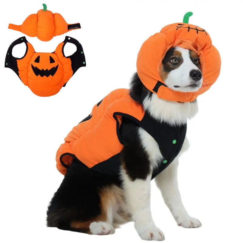 FUAMEY Halloween Dog Costume | Small-Breed Pumpkin Hat | Adjustable Fit for Thermal Warmth, Ideal for Pet Festival Celebrations