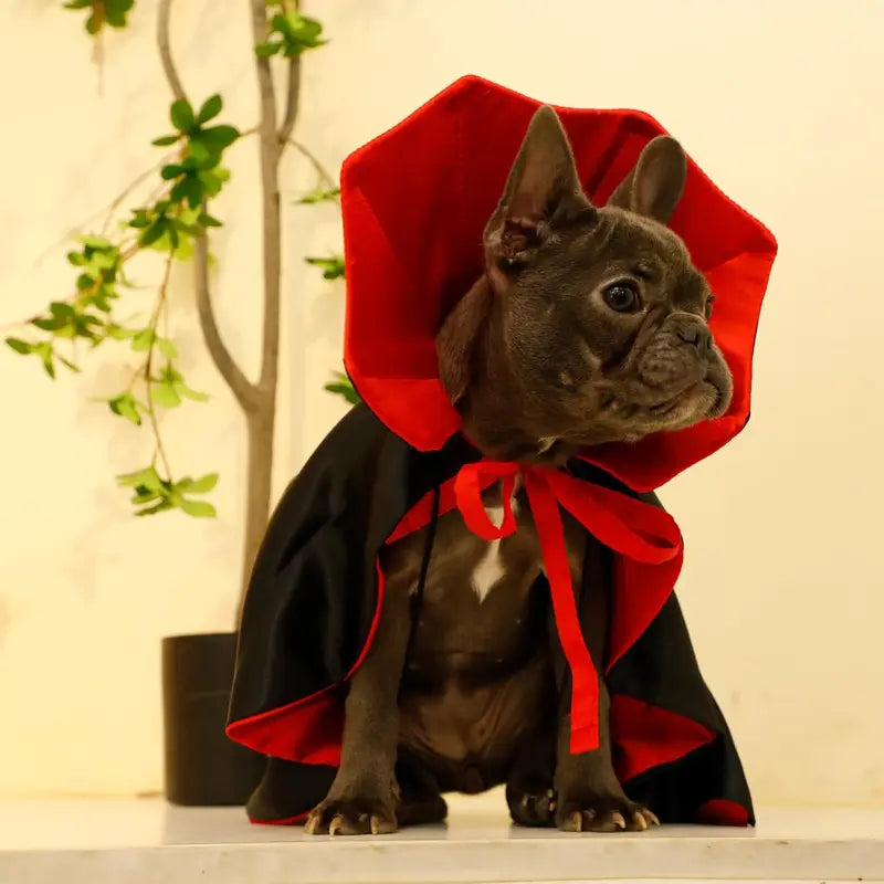 Vampire Cloak Costume for Small, Medium, and Large Dogs and Cats - Halloween Apparel