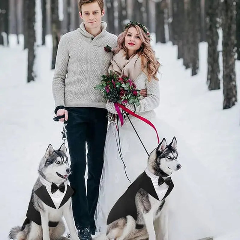 Kuoser Formal Tuxedo Set for Medium-Large Dogs - 2-Piece with Bandana, Bow Tie, Hook-and-Loop Closure, and Decorative Buttons, Ideal for Weddings and All Seasons (2XL, Golden Retriever, Samoyed, Bulldog)