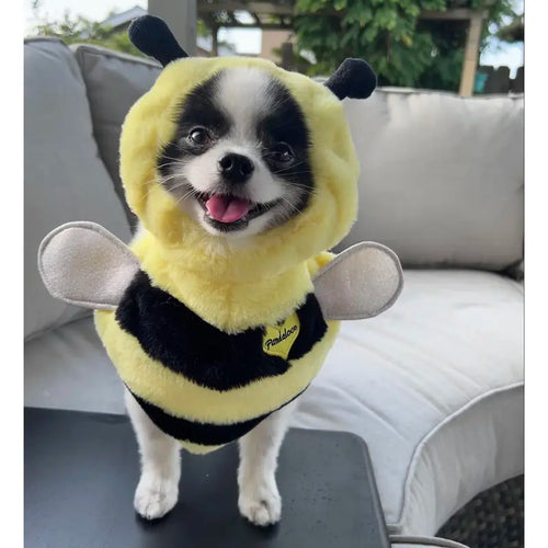 Pandaloon Bumblebee Halloween Costume for Small to Medium Dogs and Cats - Fun Front-Facing Design