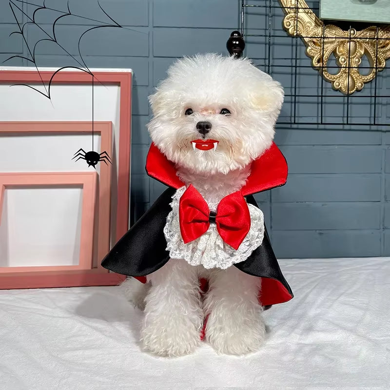Halloween Pet Costumes Cosplay Vampire Cloak for Small Dog Cat Kitten Puppy Dress Kawaii Pet Clothes Cat Accessoties Gift