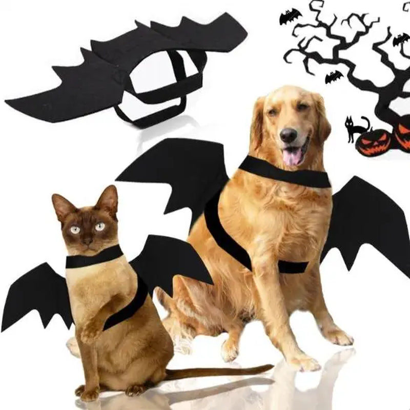 Pet Soft Black Halloween Cat Bat Wings Costume - Available in Small, Medium, and Large for Cat Halloween Celebrations and Parties