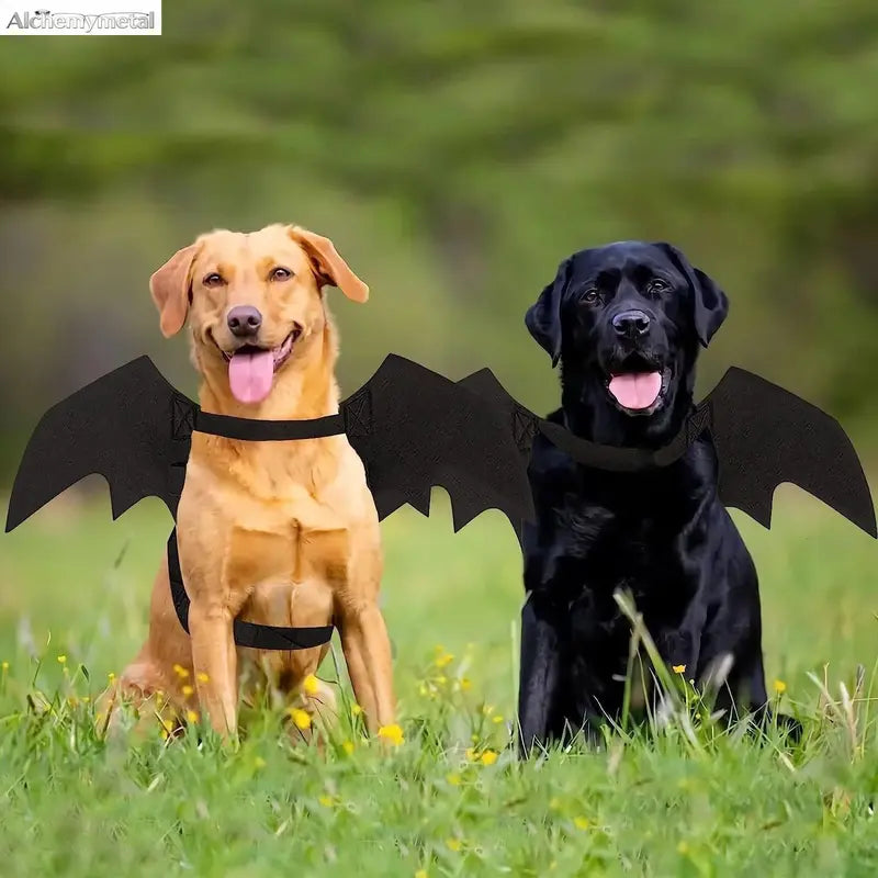 Adjustable Bat Wing Pet Costume Cape - Versatile Dress-Up Accessory for Cats and Small Dogs with DIY Diamond Painting Kit and Additional Tools for Seasonal Celebrations