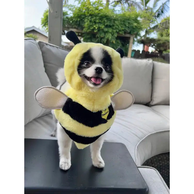 Pandaloon Bumblebee Halloween Costume for Small to Medium Dogs and Cats - Fun Front-Facing Design